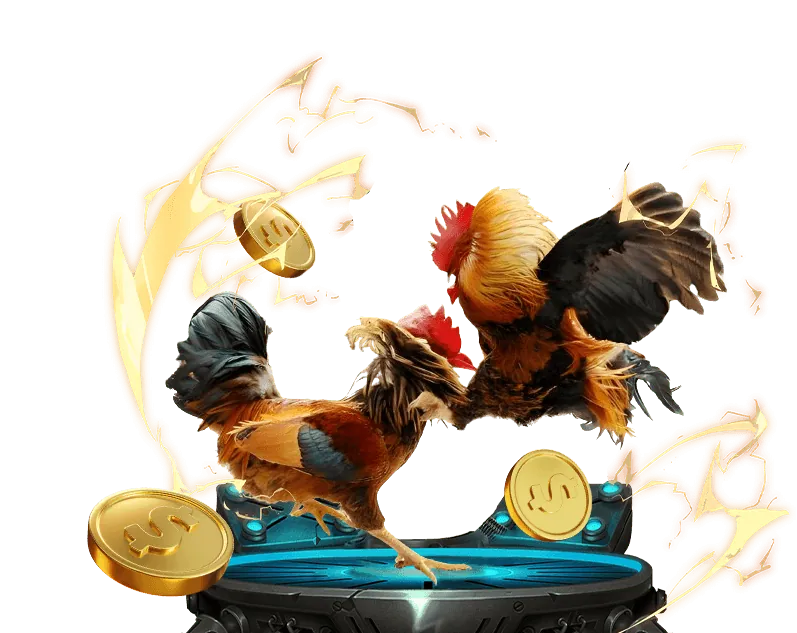 Hình ảnh các đặc quyền thành viên VIP